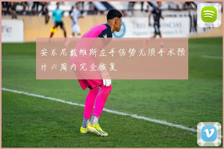 安东尼戴维斯左手伤势无须手术预计六周内完全恢复